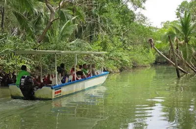 Tour en bateau dans la mangrove de l'île Damas depuis Quepos : Faune et coucher de soleil