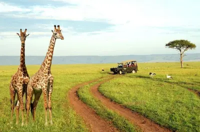 Tala Game Reserve und Natal Park: Nashörner & Elefanten