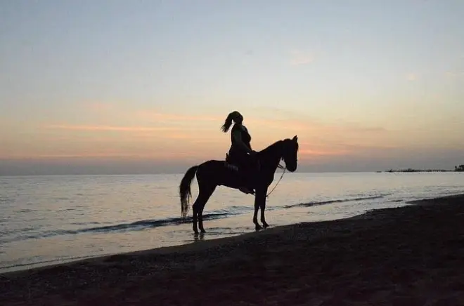 Equitazione a Side: Percorso tra foresta e spiaggia