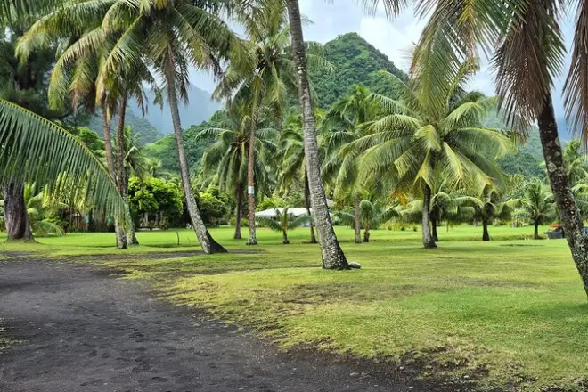 Día completo en Tahití con guía local privado, 7,5 horas