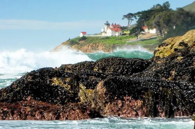 Escursioni costiere a San Luis Obispo con percorsi personalizzati