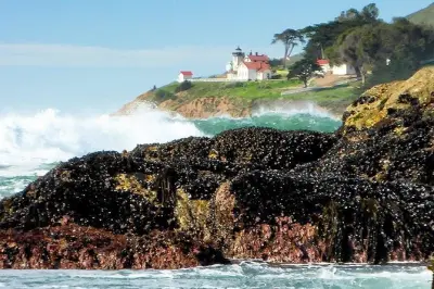 Escursioni costiere a San Luis Obispo con percorsi personalizzati