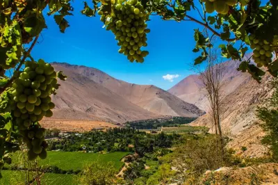 Elqui Valley tour: Pisco tasting & Gabriela Mistral birthplace