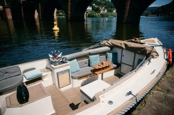Private boat trip Heidelberg: 1.5 hours with captain