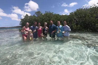 Tour privé en bateau à Aruba : Épaves et snorkeling avec tortues