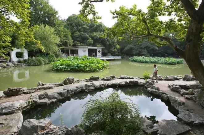 Shanghai parques e jardins naturais: Vida local e natureza