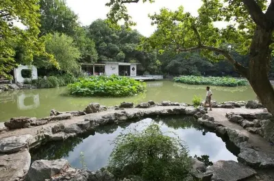 Shanghai Natürliche Orte: Parks, Gärten & Lokales Leben