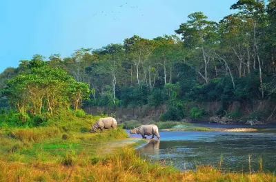 Chitwan 3 jours depuis Pokhara : Safari rhinos et tigres inclus