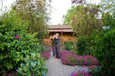 Nepal Birding Tour from Kathmandu: Alpine to Jungle Habitats