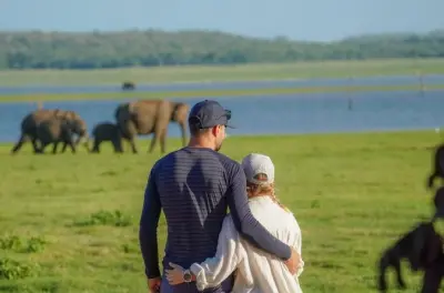 Minneriya Nationalpark Jeep-Safari: Wilde Elefanten