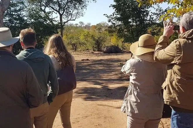 Caminhada com rinocerontes brancos e safári em Mosi-oa-Tunya