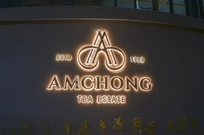 Visite du jardin de thé Amchong à Guwahati : Usine et dégustation