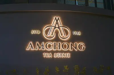 Tour pelo jardim de chá Amchong em Guwahati: Fábrica e degustação