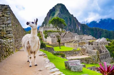 Explora cusco, camina por la montaña de colores y visita machu picchu en 4 días. incluye hoteles, entradas, guías y comidas. reserva tu aventura en perú ahora.