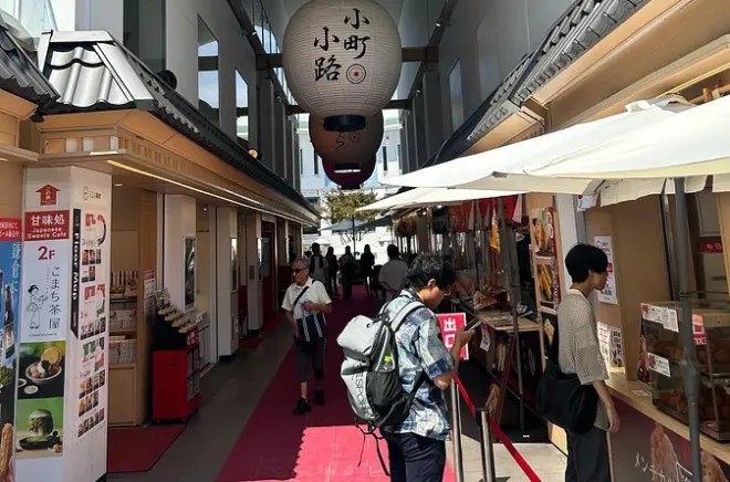 Kamakura e Enoshima: Grande Buda e Santuários em tour privado