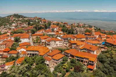 Découvrez kakheti et sighnaghi lors d’une visite guidée d’une journée au départ de tbilissi. au programme : monastère de bodbe, fabrication du pain, dégustation de vin et cuisine locale.