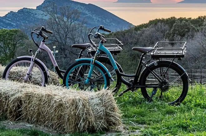 Tour in e-bike a Trentinara con picnic in vigneto e vino