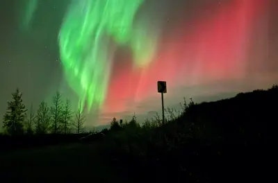 Northern Lights Private Tour from Fairbanks: Luxury Vehicle