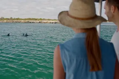 Avistamiento guiado de delfines en Koombana Bay: Delfines garantizados