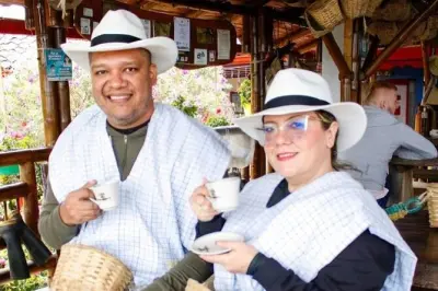 Tour privado em fazenda de café com passeio a cavalo em Pereira