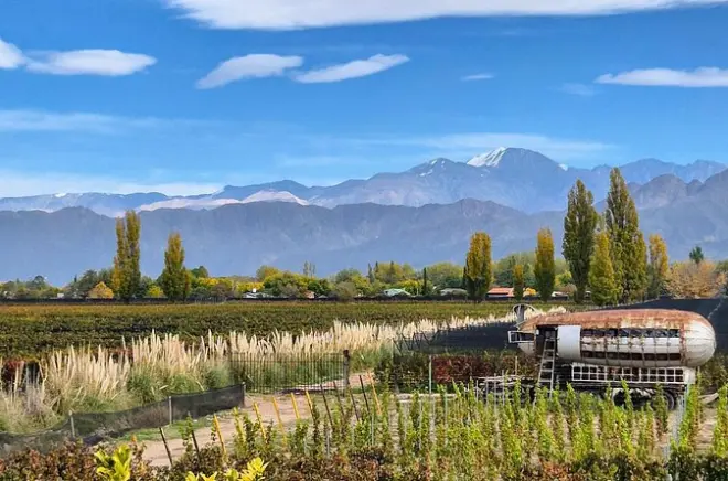Luján de Cuyo wine tour: Malbec tastings & Michelin lunch