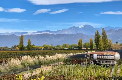 Luján de Cuyo : Dégustations de Malbec et déjeuner Michelin