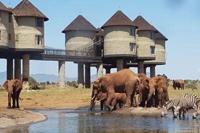 Tsavo East & Salt Lick Safari: Red Elephants & Big Cats