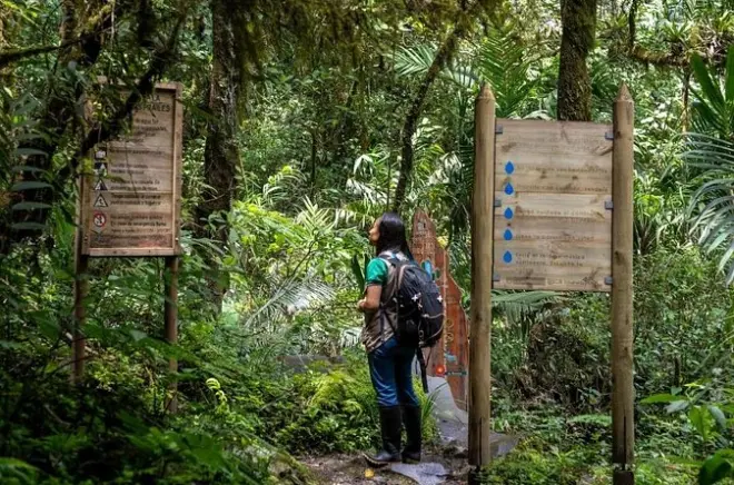 Los Frailes Waterfall Trek: 70m Cascade in Pereira