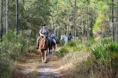 Horseback riding in Goethe Forest, Florida: No experience needed