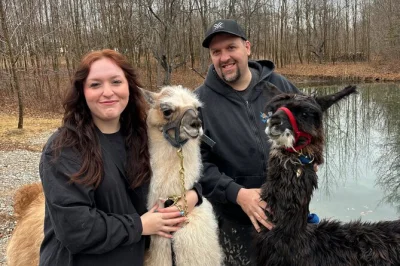 Slow down with a llama hike, meet barnyard animals, and share a wood-fired pizza picnic in fredericton’s countryside. flexible timing, local hosts, all ages welcome.
