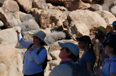 Joshua Tree Nature Walk: Plants, Animals & Rocks with Guide