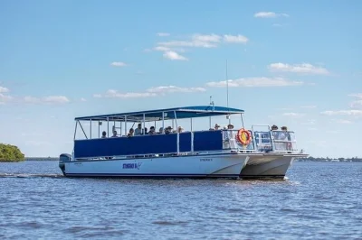 Descubre la tranquilidad salvaje de las 10,000 islands en florida con un tour en grupo pequeño. observa delfines, manatíes y aves junto a un guía local. salidas diarias cerca de marco island.