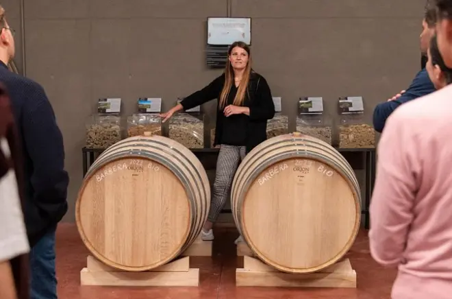 Parma wine tasting: 4 wines with food pairings
