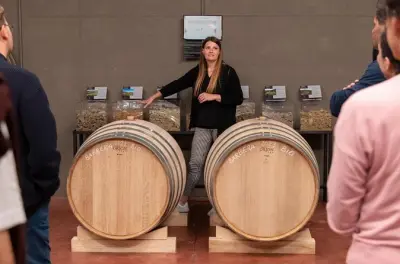 Degustação de vinhos em Parma: 4 vinhos com harmonização