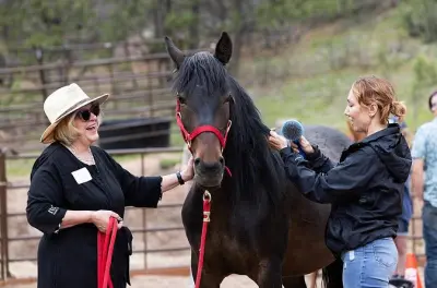 Connessione guidata con mustang selvaggi vicino a Colorado Springs