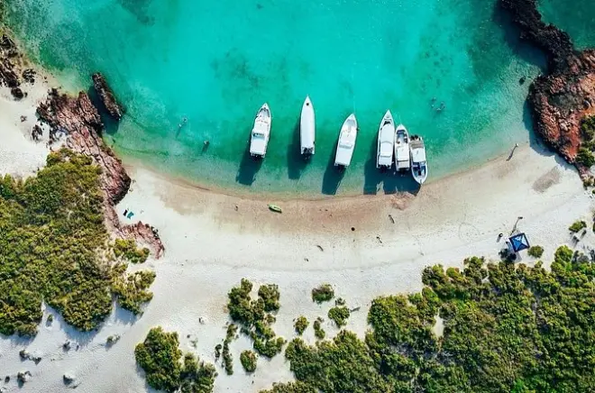 Île Dimaniyat depuis Mascate : Coraux et tortues marines en snorkeling