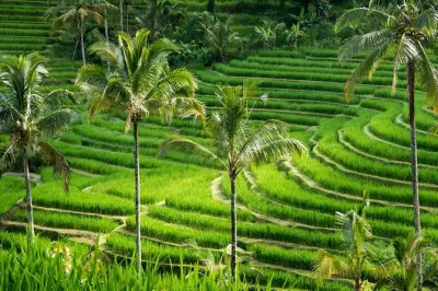 Tour privato dei templi di Bali: Quattro siti UNESCO e patrimonio