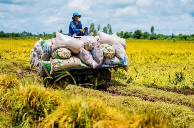 Vélo dans les villages d'ananas près de Can Tho, Vietnam authentique