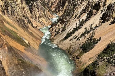 Siente la energía salvaje de yellowstone en un tour de día completo desde bozeman, con avistamiento de fauna, erupciones de old faithful y almuerzo incluido. recogida y guía local incluidos.
