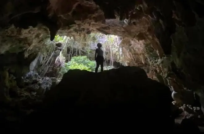 Cave and Guayaney Spring tour Puerto Rico: Petroglyphs and bats
