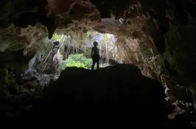 Cave and Guayaney Spring tour Puerto Rico: Petroglyphs and bats