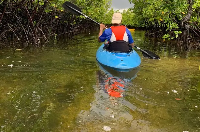 Kayak sur l'île d'Uzi : Tunnels de mangrove et village swahili