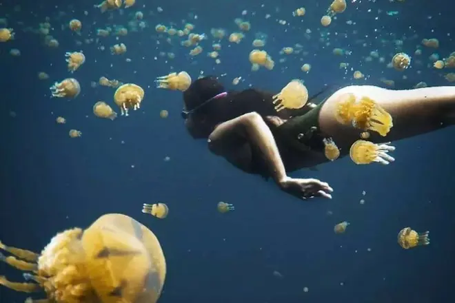 Visite de Sohoton Cove à Siargao : Grottes, méduses, kayak