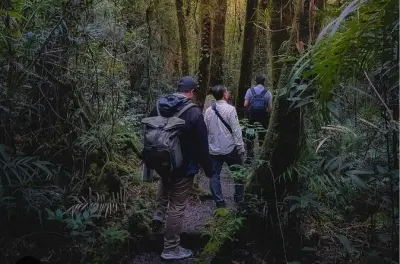 Parque Nacional Kinabalu: Fontes termais de Poring em um dia