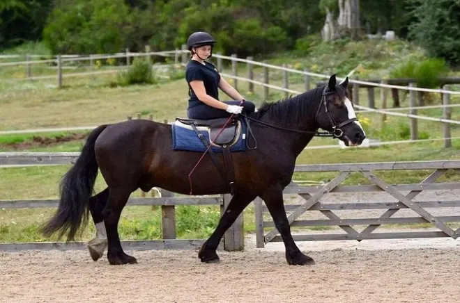 Balade à cheval à Kemer : 1 heure avec transfert hôtel