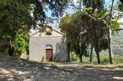 Cinque Terre Olivenhainen-Tour: Wein- und Ölverkostung