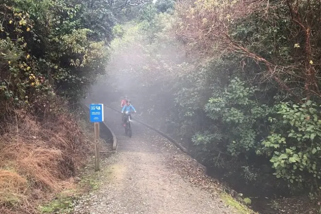 Spooner's Tunnel Bike Ride Nelson: 50km downhill adventure
