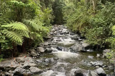 Randonnée à Pance près de Cali : Cascades et faune andine
