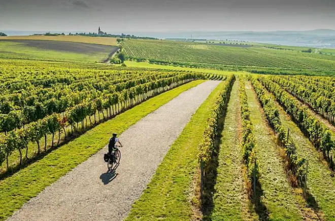 Tour in e-bike da Brno: 40 km tra i vigneti moravi