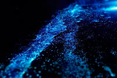 Kayak nella baia di Lan Ha al tramonto con acque bioluminescenti